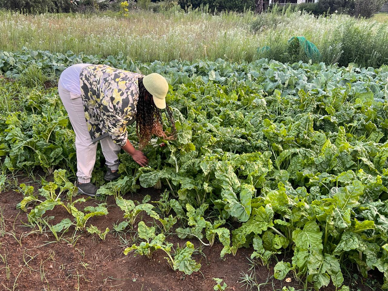 WhatsApp Image 2025-04-26 at 13.07.16