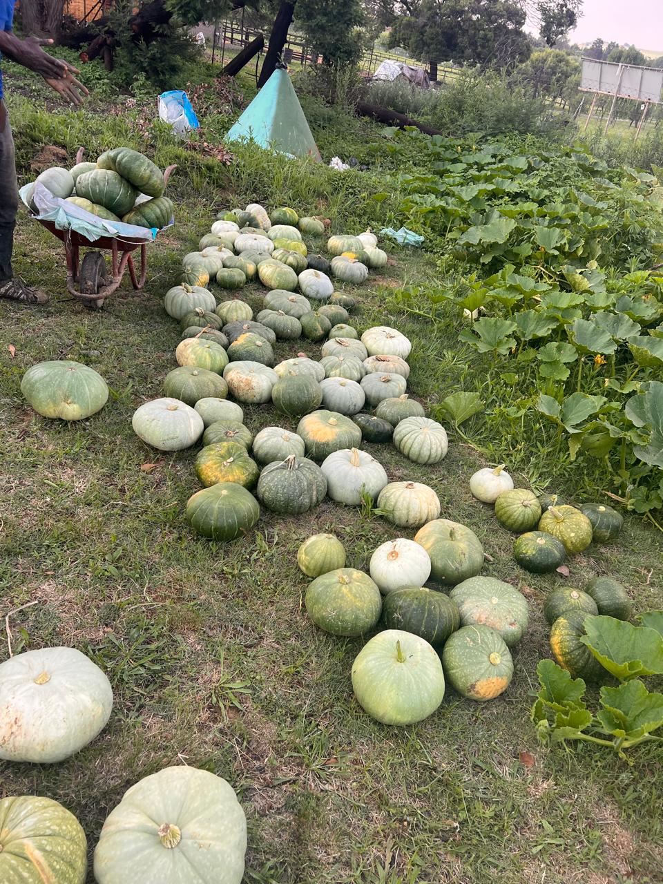 WhatsApp Image 2025-04-26 at 13.07.38